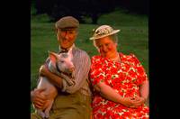 Кадр Бэйб: Поросенок в городе