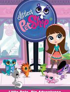 Маленький зоомагазин