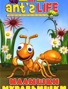 Малышки-муравьишки (видео)
