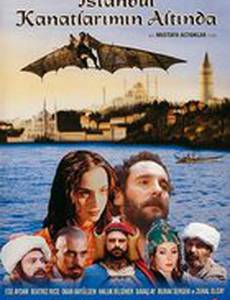 Стамбул под крыльями