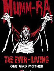 Громовые коты