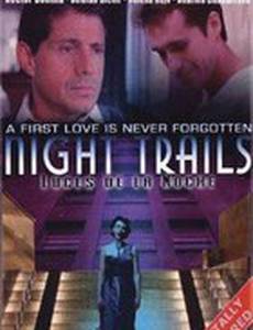 Ночные огни