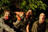 Кадр Земля вампиров