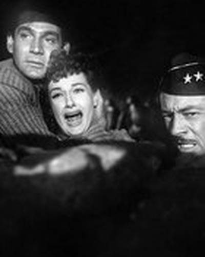 Энн Робинсон фото