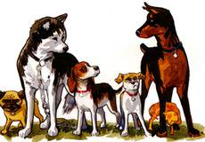 Домашние животные спасут людей от сверхъестественных существ