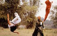 Кадр Бесстрашная гиена