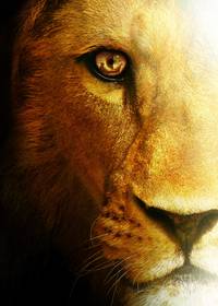 Постер Хроники Нарнии: Покоритель Зари