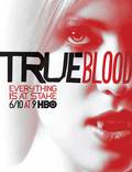 Постер из фильма "Настоящая кровь" - 1