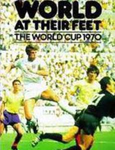 Мир у их ног