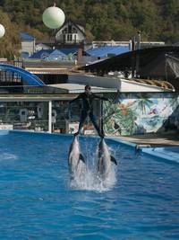 Кадр Подарок с характером