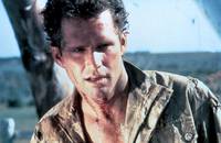 Кадр Кабан-секач