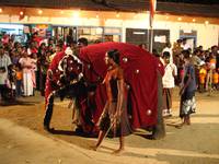 Кадр Chandani: The Daughter of the Elephant Whisperer