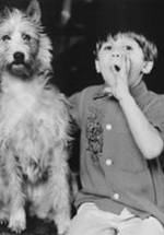 Сет Муми фото