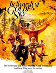 In Search of a Golden Sky