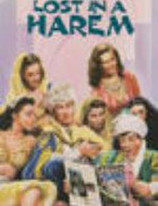 Потерянные в гареме