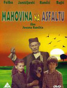 Яблоки моего детства