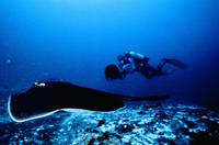 Кадр Атлантис