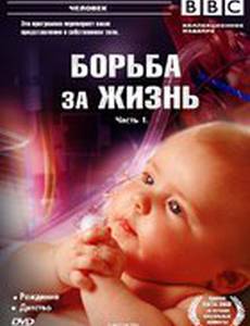 BBC: Борьба за жизнь
