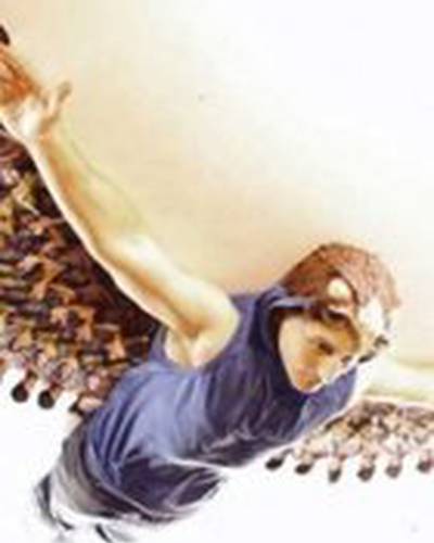 Уилсон Стинер фото