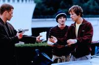 Кадр Белый медведь