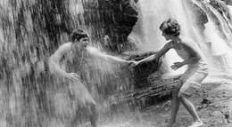 Кадр из фильма "Великолепие в траве" - 1