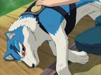 Кадр Сказочный мушкетер Красная Шапочка (видео)