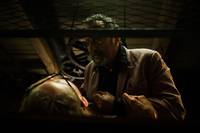 Кадр Путешествие Гектора в поисках счастья