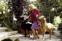 Кадр Потоки любви