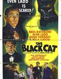 Постер из фильма "Чёрный кот" - 1