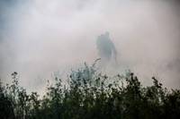 Кадр Голодные Z