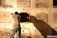 Кадр И пес пожрал пса