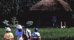 Кадр из фильма "Августовская рапсодия" - 1