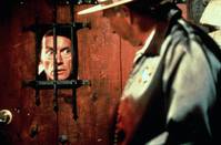 Кадр Природа зверя