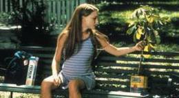 Кадр из фильма "Там, где сердце" - 2