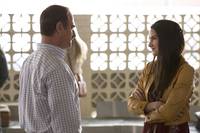 Кадр Белая птица в метели