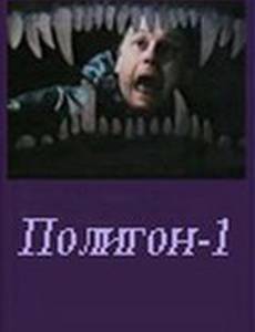 Полигон один