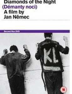 Алмазы ночи