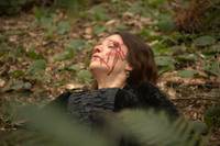 Кадр Великолепный век