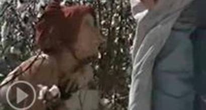 Фрагмент №2