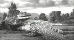 Кадр из фильма "Миллион лет до нашей эры" - 1