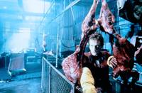 Кадр Кабан-секач