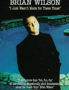 Brian Wilson: I Just Wasn't Made for These Times