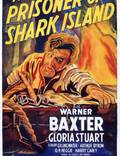 Постер из фильма "Узник острова акул" - 1