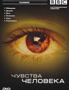 BBC: Чувства человека