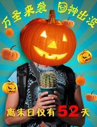 Постер Приключения в Таиланде