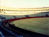 Кадр Без сочувствия к грубым