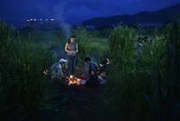 Кадр Дикий город