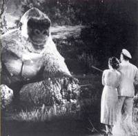 Кадр Сын Кинг Конга