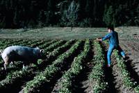 Кадр Война на бобовом поле Милагро