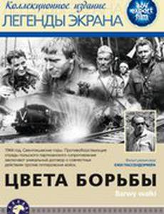 Цвета борьбы